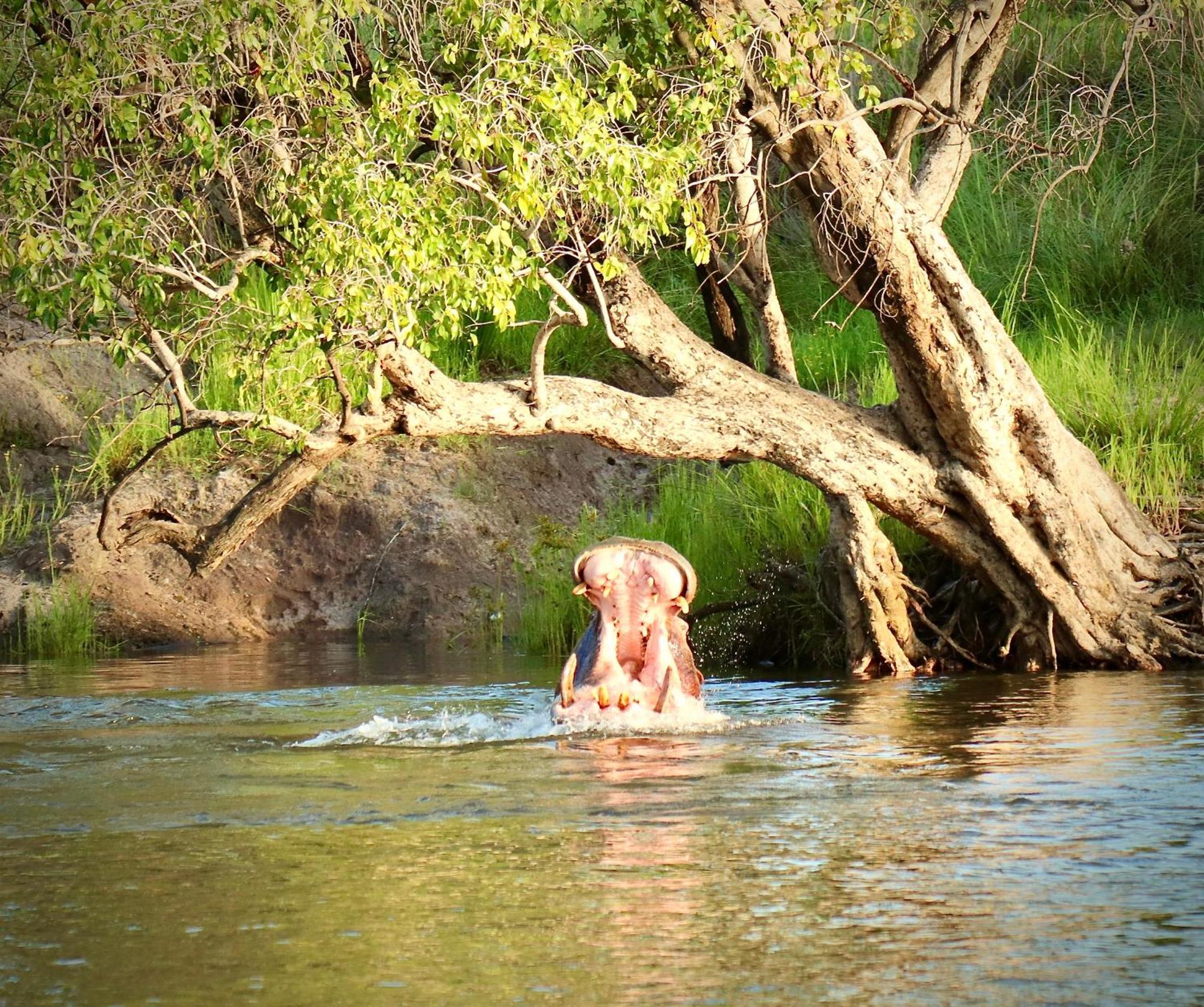 Vila Zambezi Dusk Livingstone Exteriér fotografie
